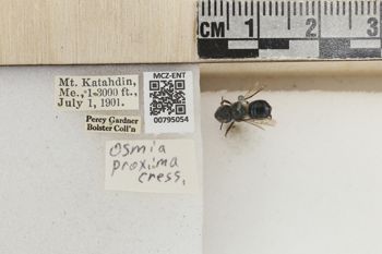 Media type: image;   Entomology 795054 Aspect: Labels